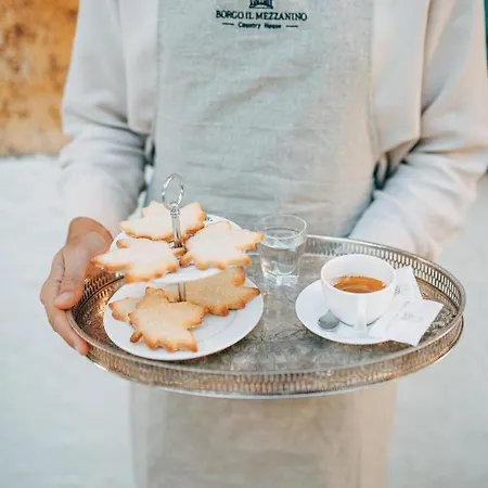 Borgo Il Mezzanino Farm stay