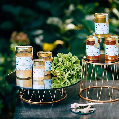 Borgo Il Mezzanino Κατάλυμα σε φάρμα *