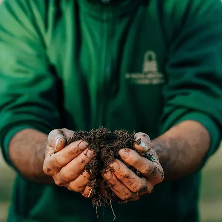 Borgo Il Mezzanino Κατάλυμα σε φάρμα *