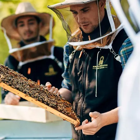 Borgo Il Mezzanino Salò